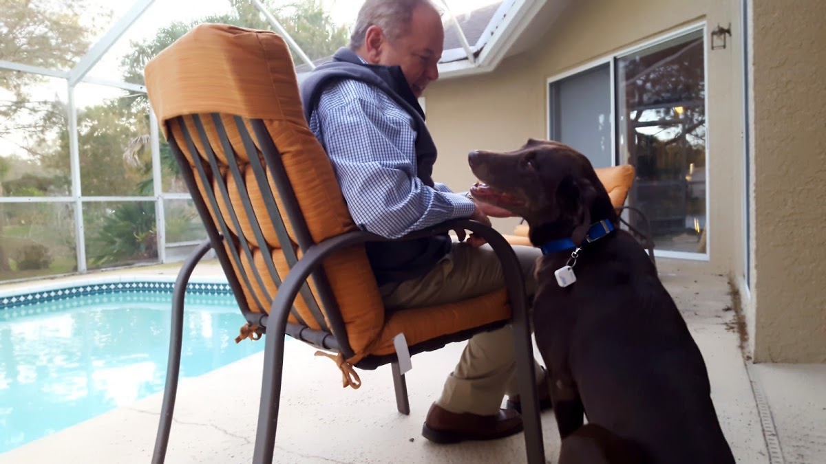 AutoSlide Smart Tag Pet Door Kit